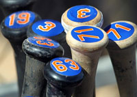 Baseball Bat Decals