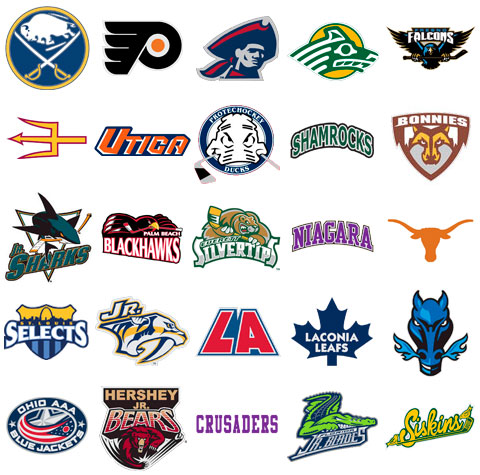 Logo Design Packages on Hockey Helmet Decals   Pro Helmet Decals   Sports Helmet Decals